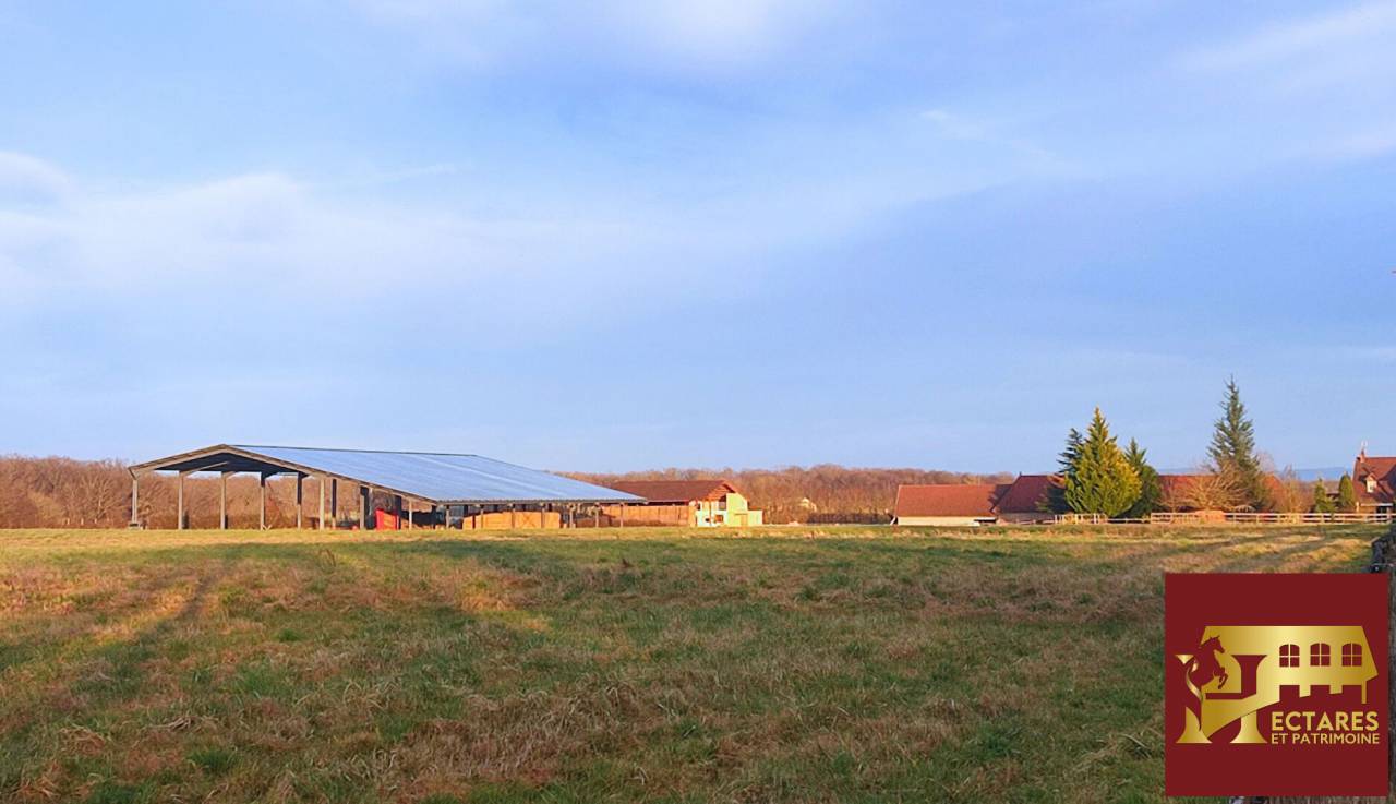 Centro di stagione cavallo In vendita Sa&ocirc;ne-et-Loire