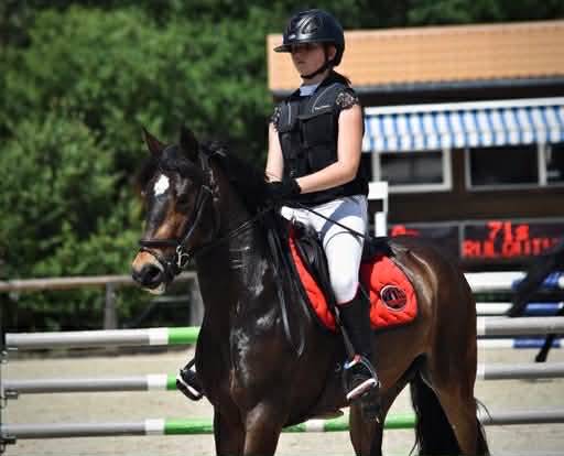 Cavalla PFS Pony Francese da Sella In vendita 2017 Baio