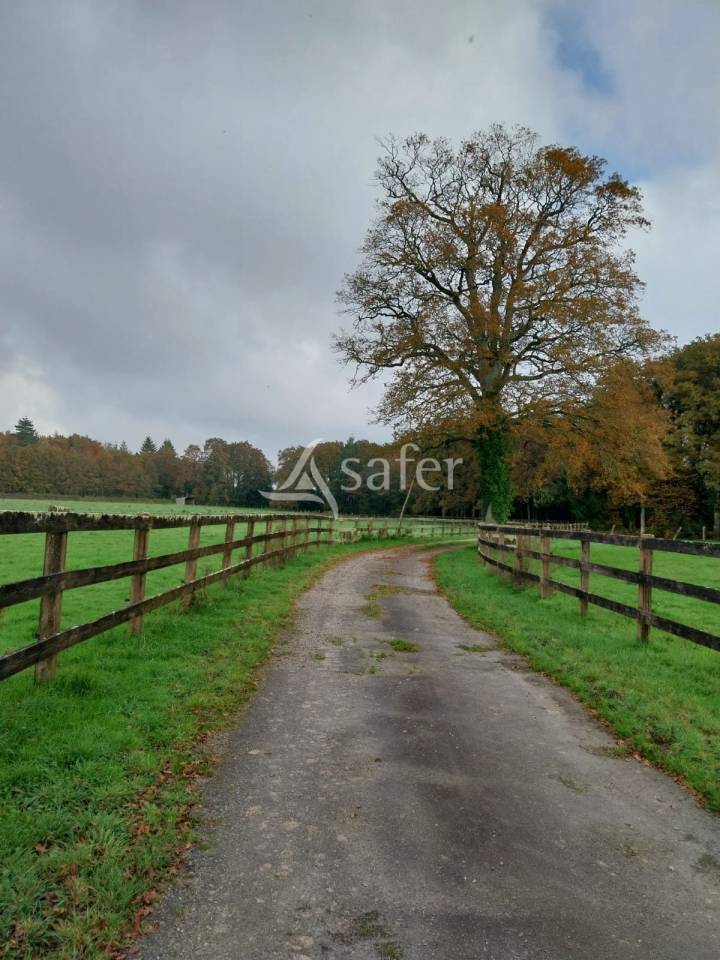 Propriet&agrave; equestre In vendita Loire-Atlantique