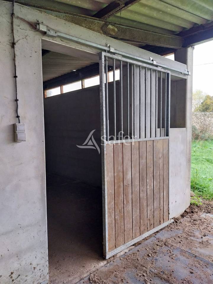 Propriet&agrave; equestre In vendita Loire-Atlantique