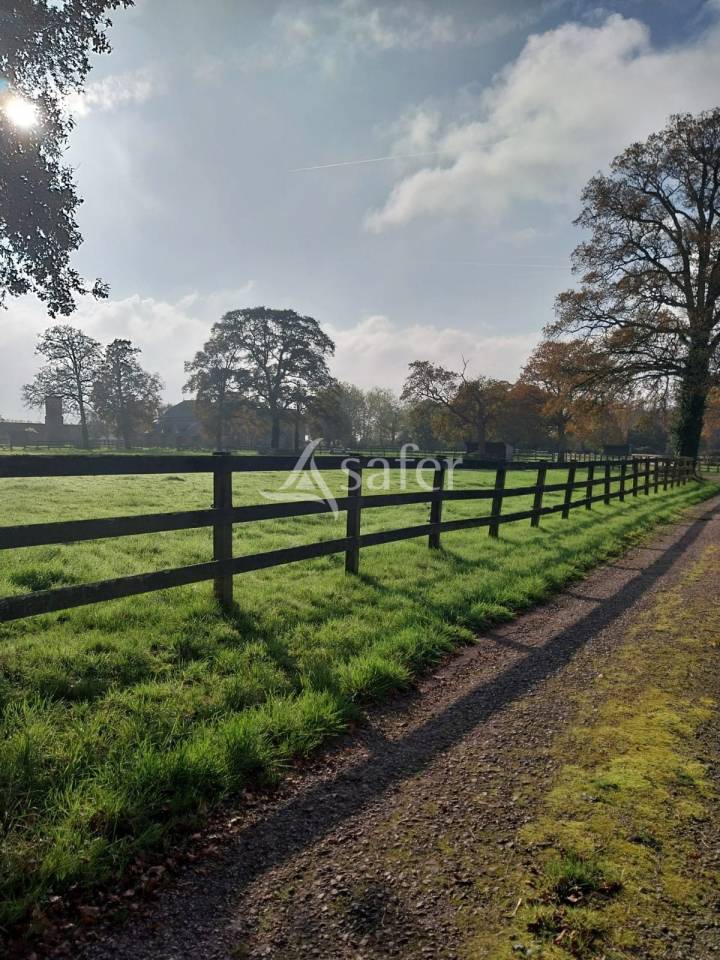 Propriet&agrave; equestre In vendita Loire-Atlantique