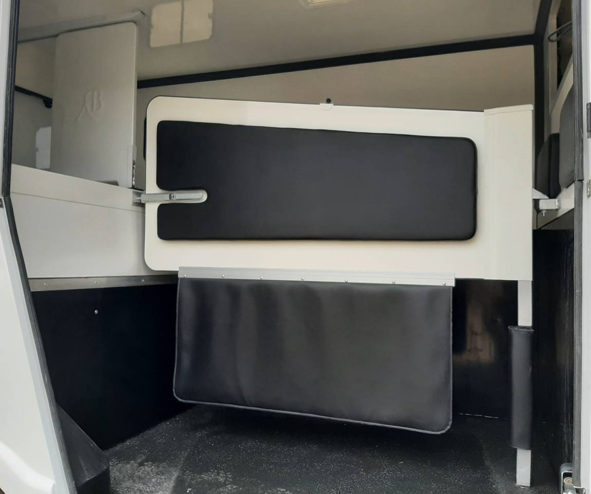 Van per Cavalli Renault Master 2018 Occasione