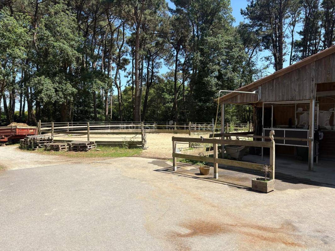 Propriet&agrave; equestre In vendita Loire-Atlantique