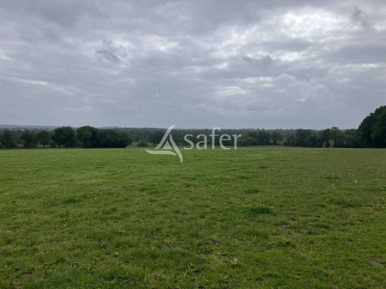 Propriet&agrave; equestre In vendita Mayenne
