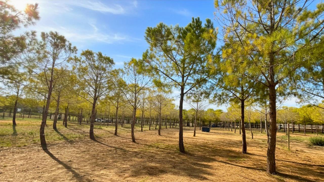 Propriet&agrave; equestre In vendita H&eacute;rault