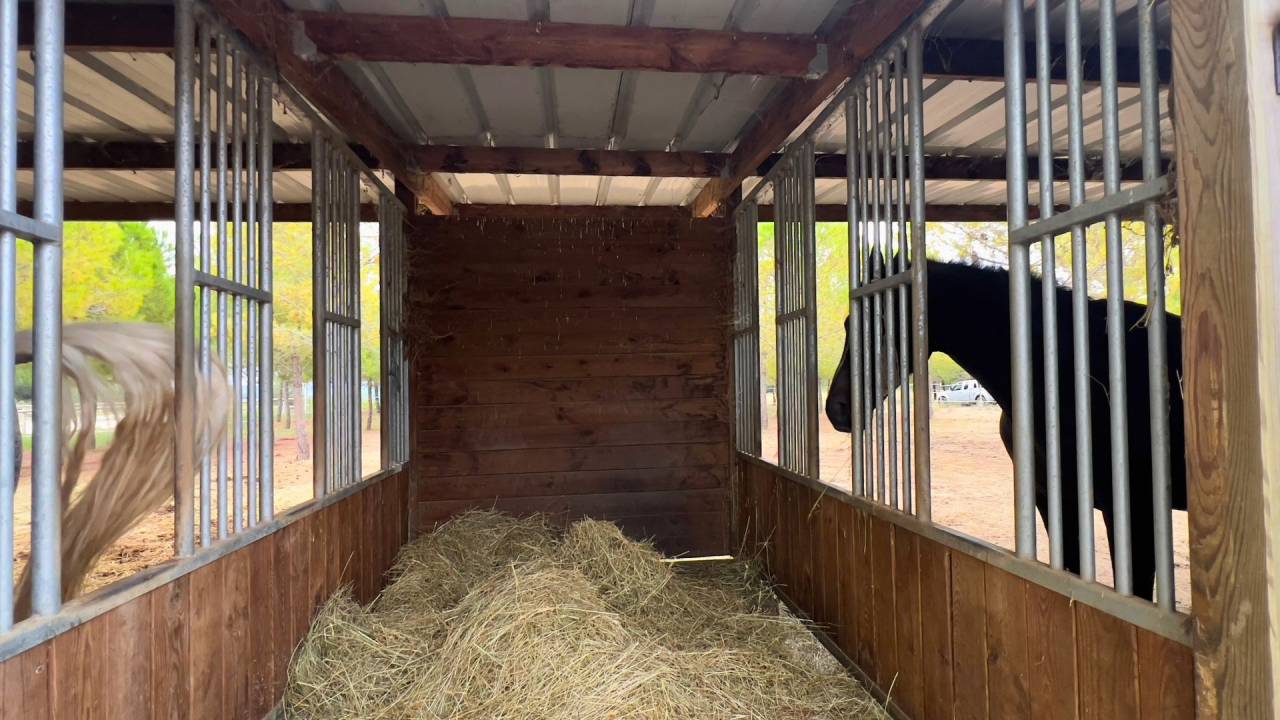 Propriet&agrave; equestre In vendita H&eacute;rault