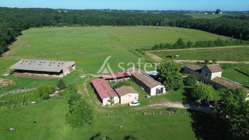 Azienda agricola In vendita Gironde