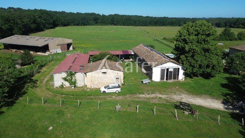 Azienda agricola In vendita Gironde