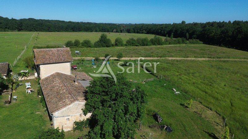 Azienda agricola In vendita Gironde