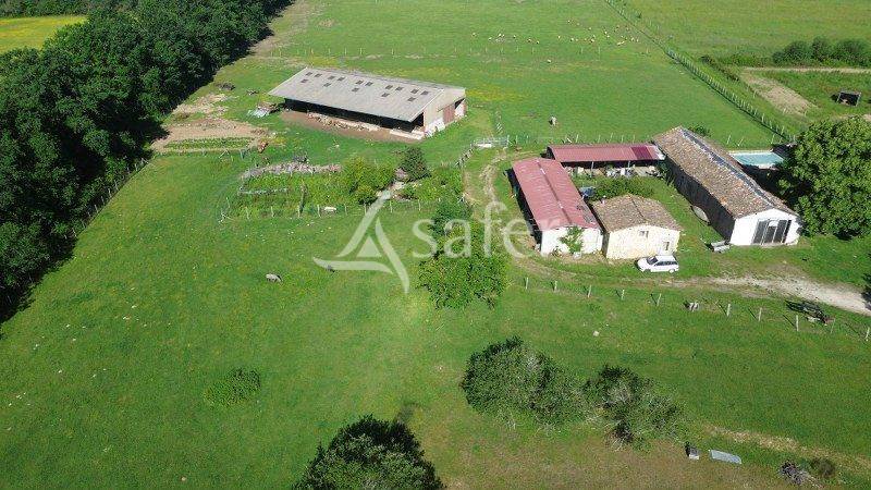 Azienda agricola In vendita Gironde