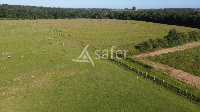 Azienda agricola In vendita Gironde