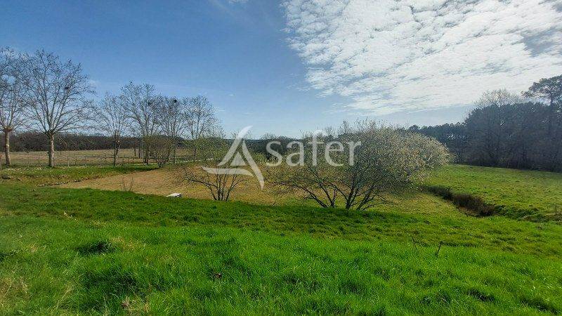 Azienda agricola In vendita Gironde
