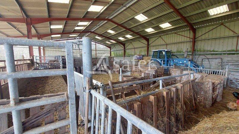 Azienda agricola In vendita Gironde