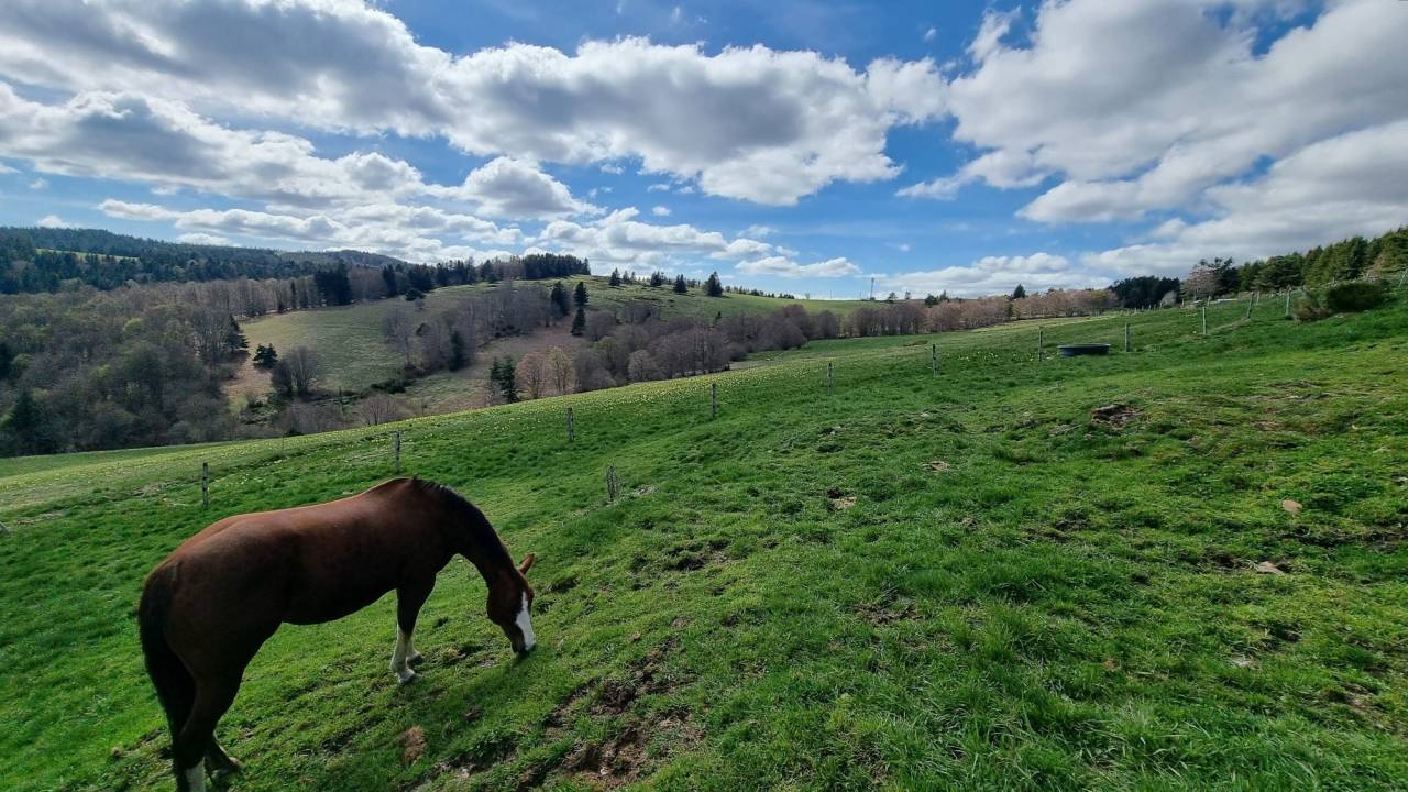 Alloggio equestre In vendita Ard&egrave;che