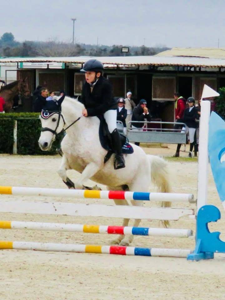 Super pony Connemara