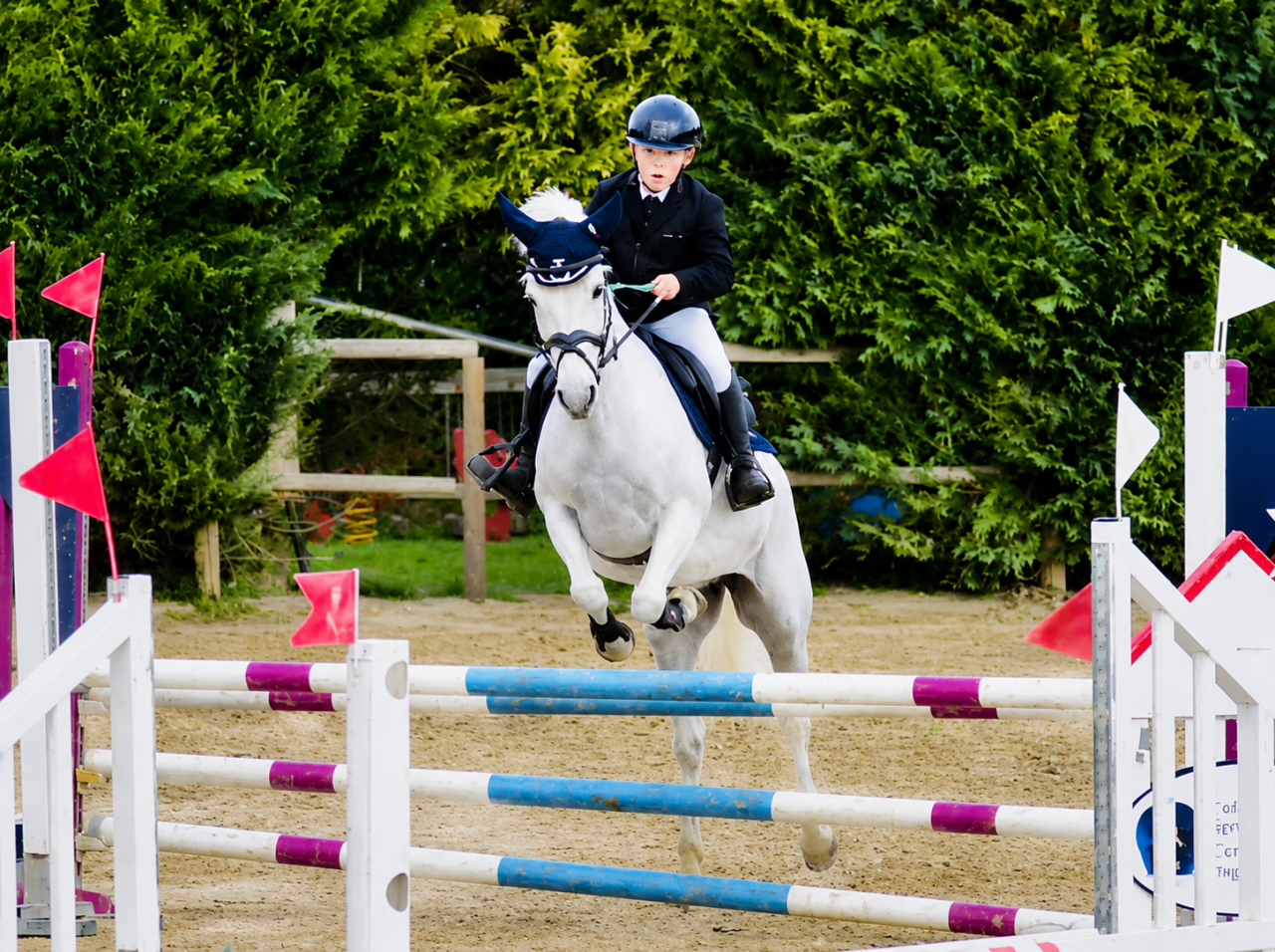 Super pony Connemara ✨