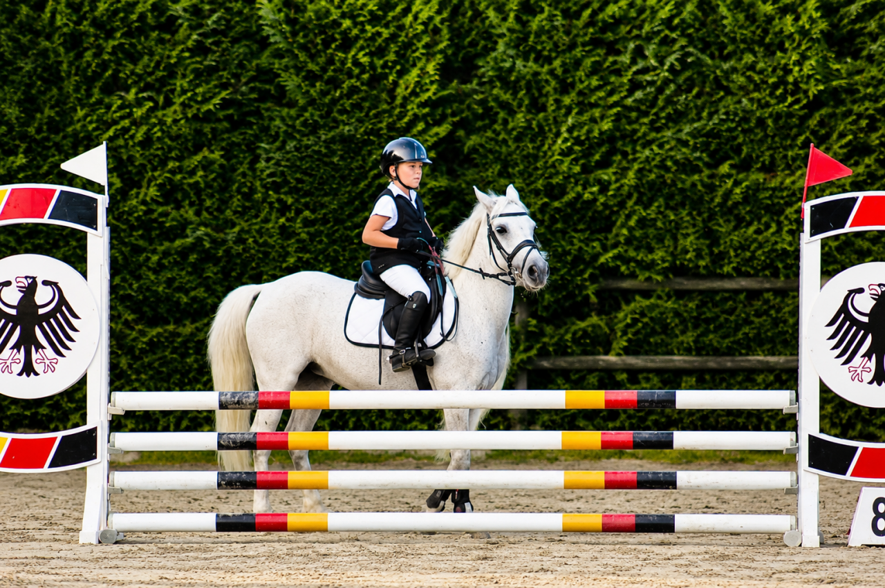 Super pony Connemara ✨