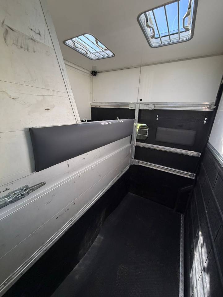 Van per Cavalli I trailer ACR Renault Master 2021 Occasione