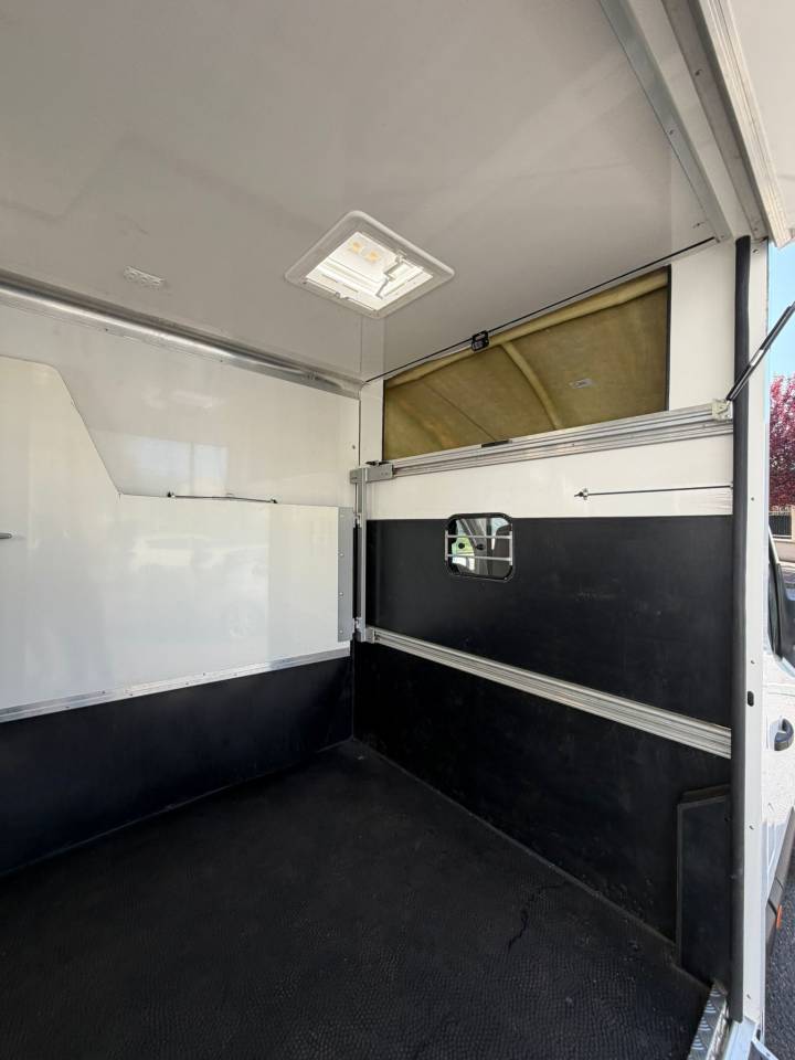 Van per Cavalli I trailer ACR Renault Master 2017 Occasione