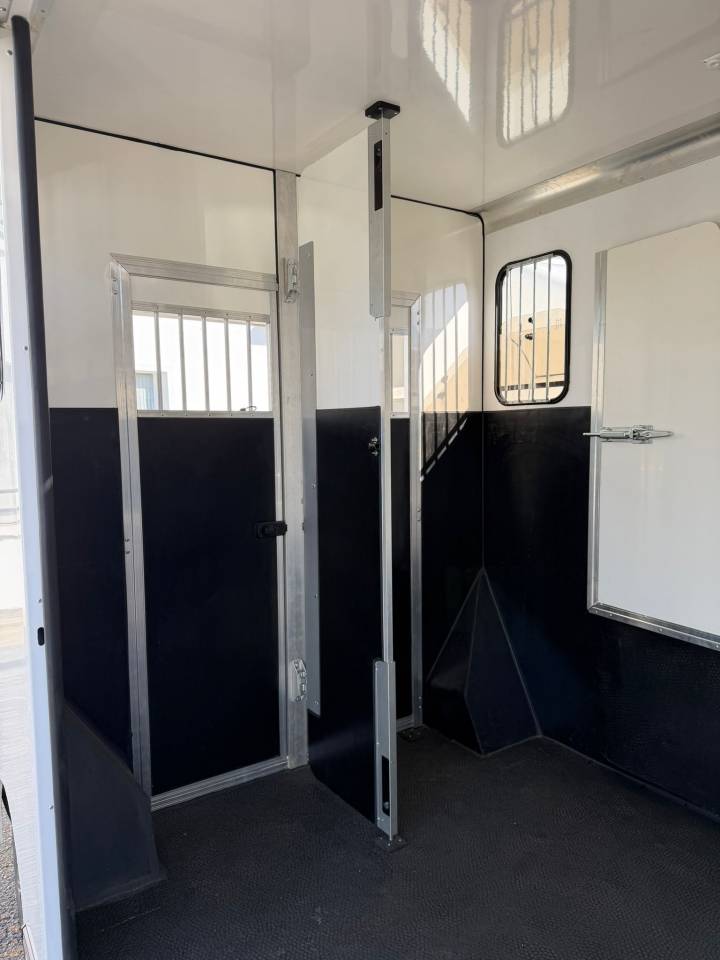 Van per Cavalli I trailer ACR Renault Master 2017 Occasione