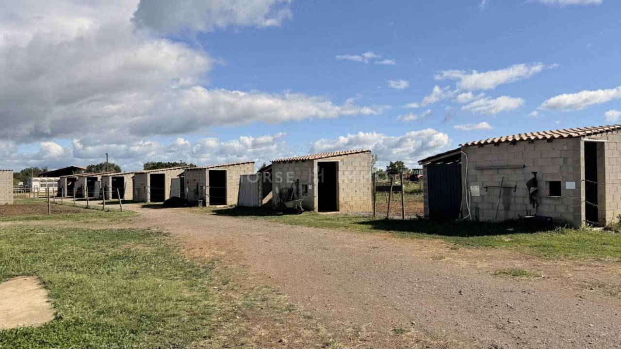 Propriet&agrave; equestre In vendita H&eacute;rault