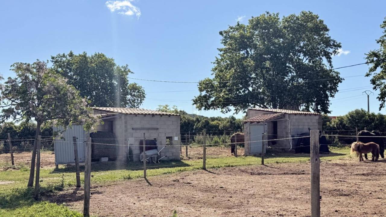 Propriet&agrave; equestre In vendita H&eacute;rault