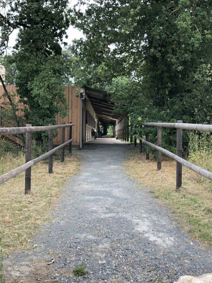 Alloggio equestre In vendita Maine-et-Loire