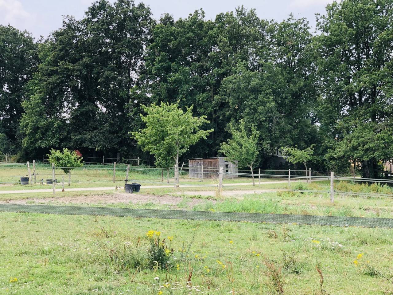 Alloggio equestre In vendita Maine-et-Loire
