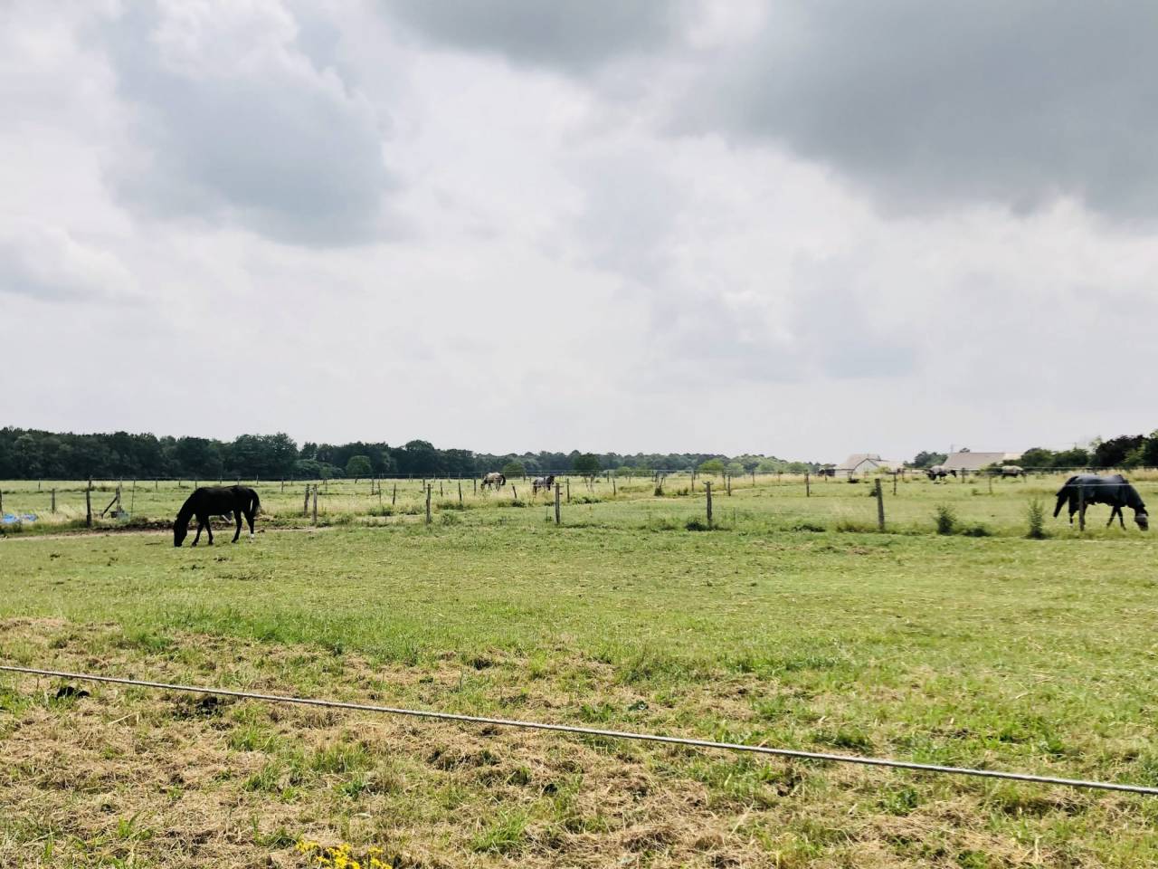 Alloggio equestre In vendita Maine-et-Loire