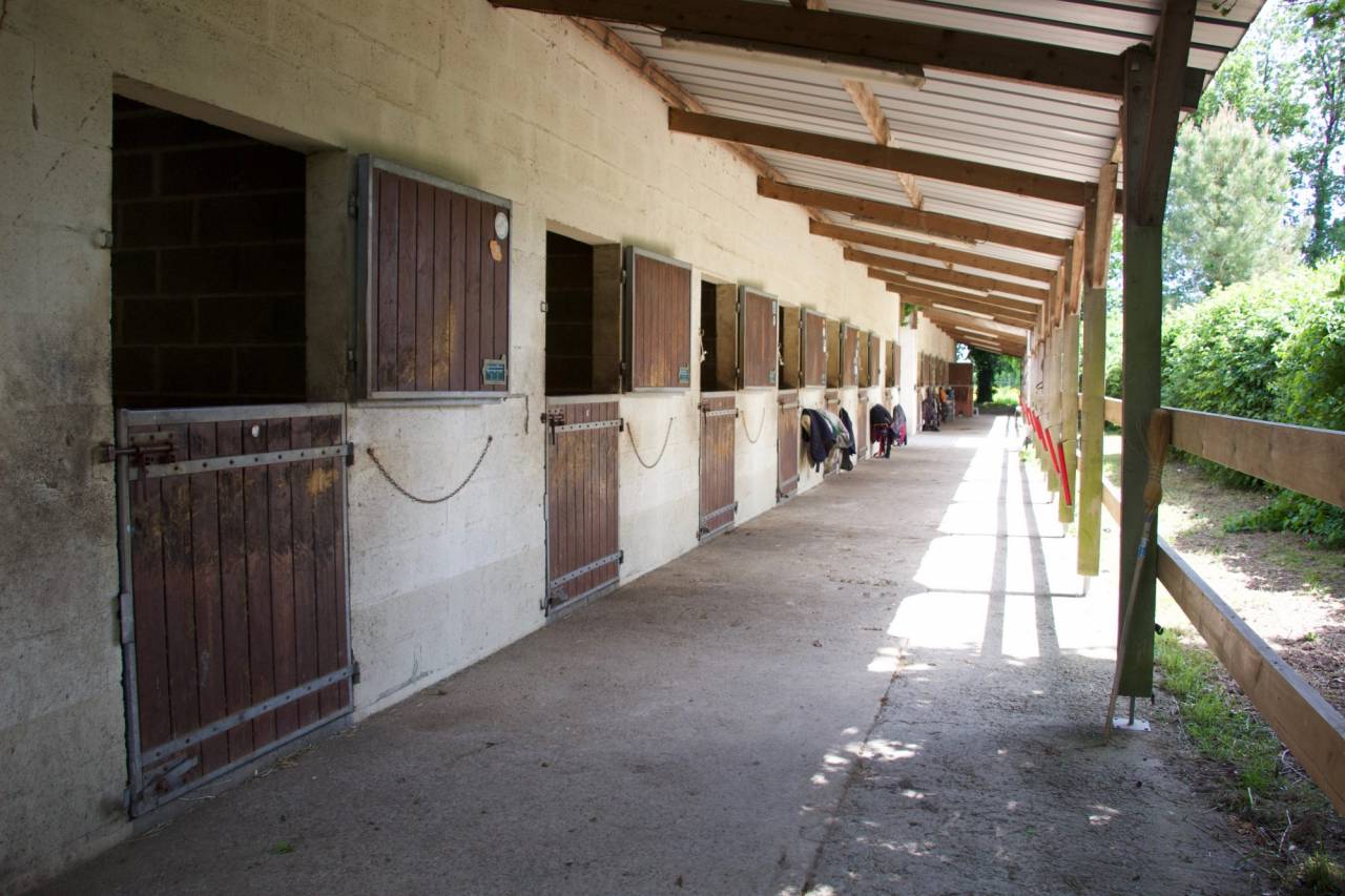 Alloggio equestre In vendita Maine-et-Loire