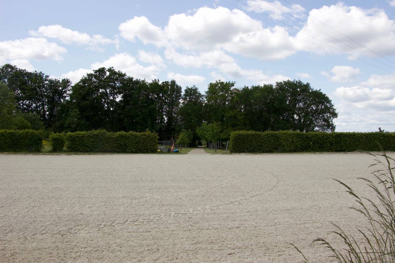 Alloggio equestre In vendita Maine-et-Loire
