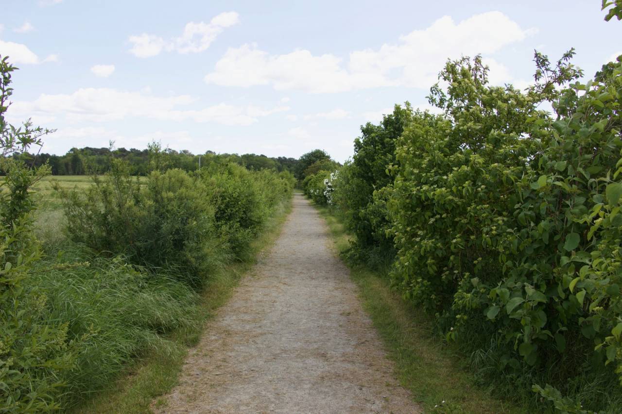 Alloggio equestre In vendita Maine-et-Loire