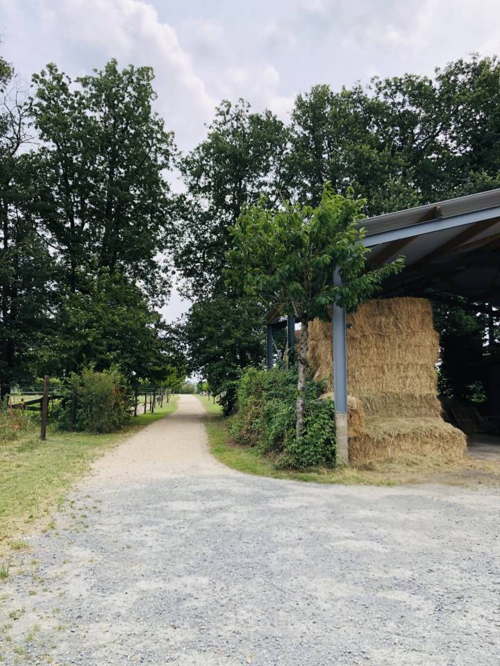 Alloggio equestre In vendita Maine-et-Loire