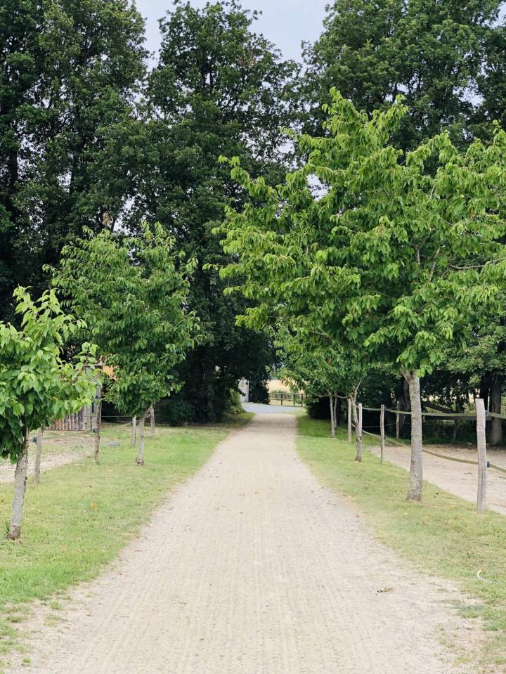 Alloggio equestre In vendita Maine-et-Loire