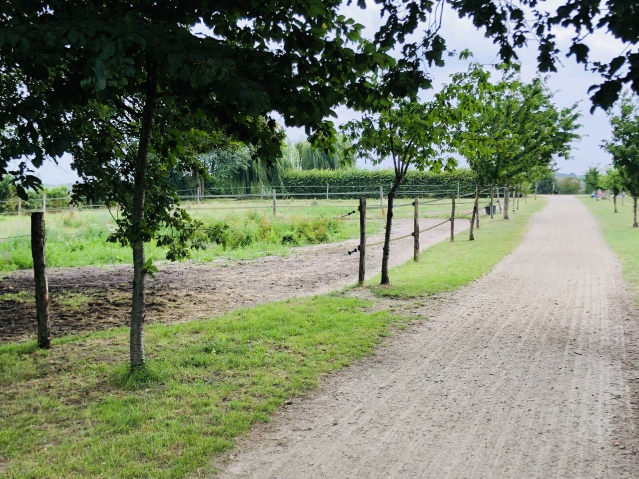 Alloggio equestre In vendita Maine-et-Loire