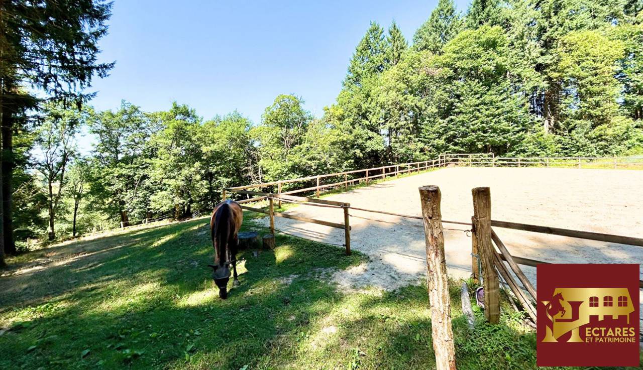 Alloggio equestre In vendita Sa&ocirc;ne-et-Loire