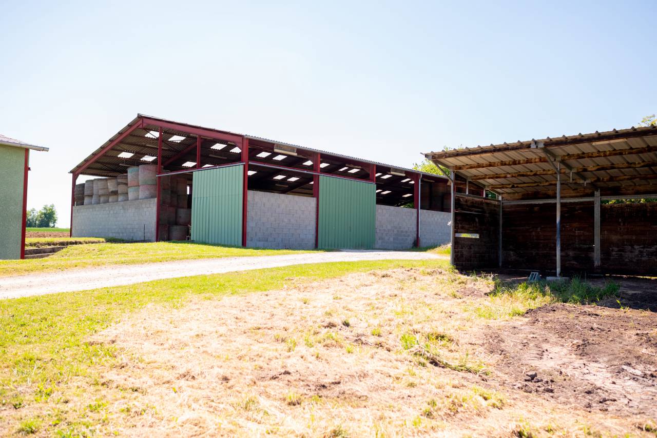 Propriet&agrave; equestre In vendita Ain
