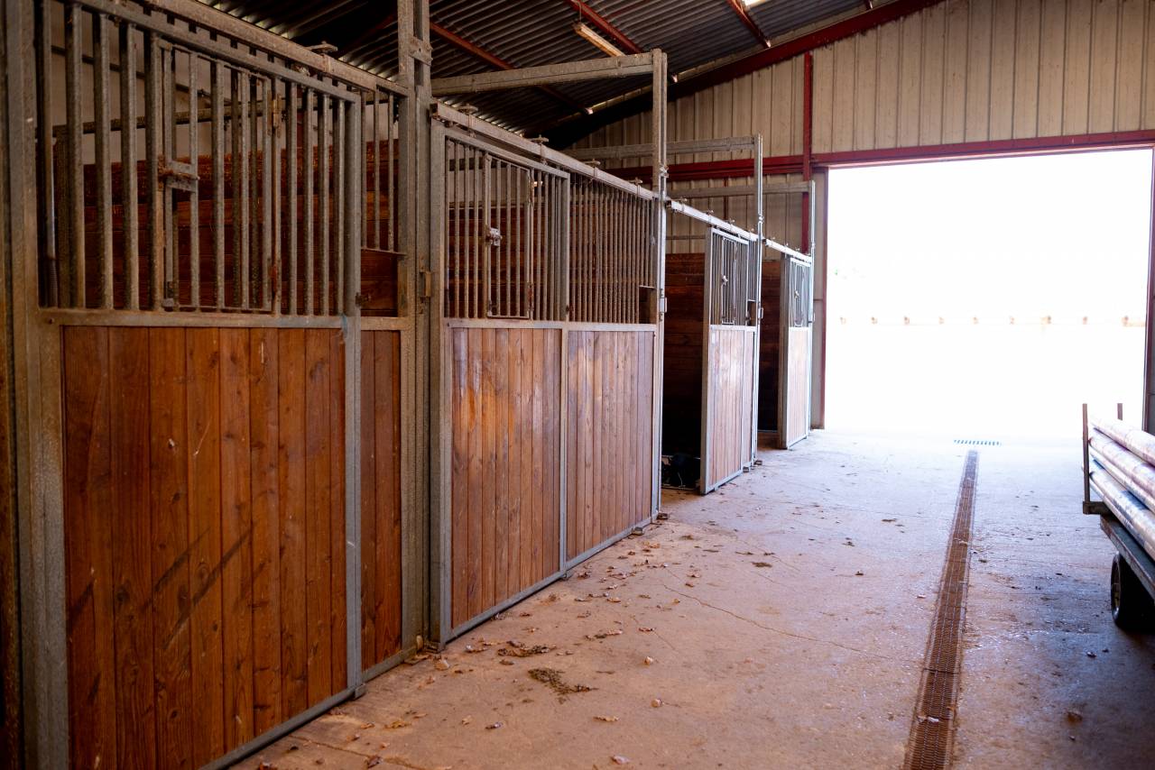 Propriet&agrave; equestre In vendita Ain