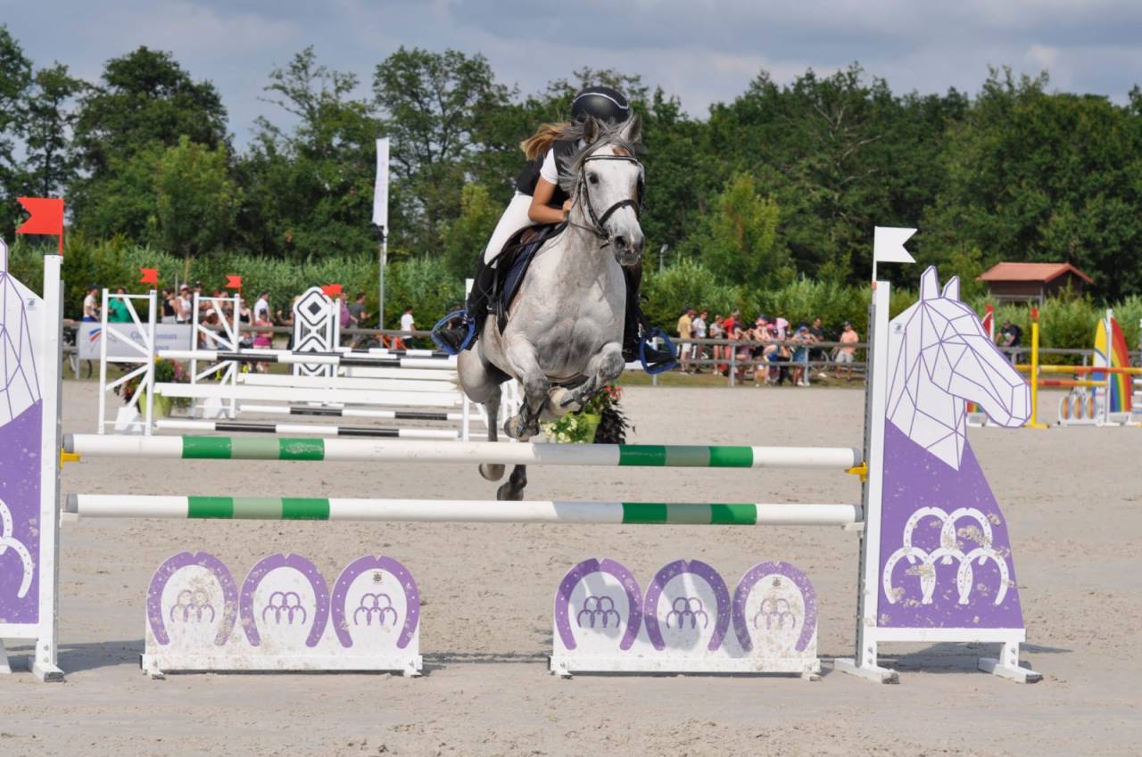 Cavalla Altre Razze di Pony In vendita 2013 Baio ,  AFAS DE NAVA