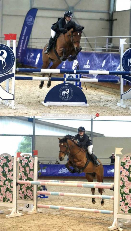 Cavalla PFS Pony Francese da Sella Noleggio 2013 Baio