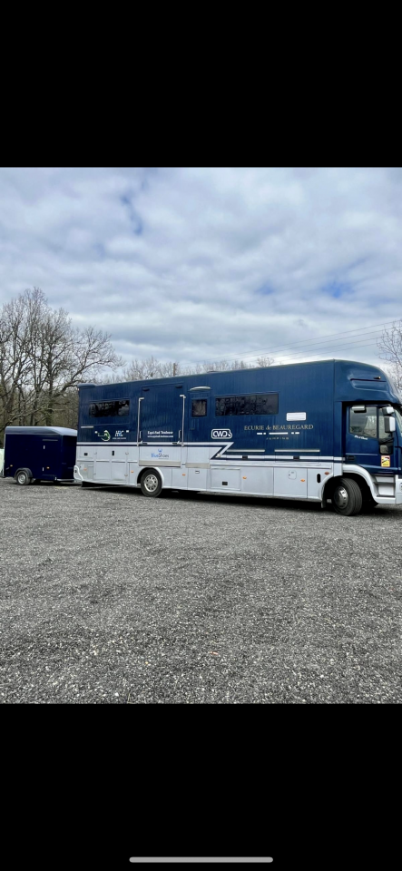 Camion per Cavalli STX  2007 Occasione