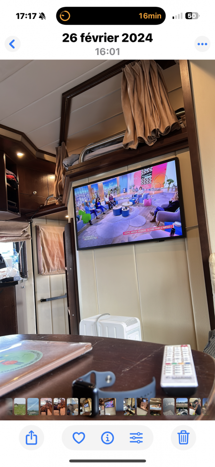 Camion per Cavalli STX  2007 Occasione