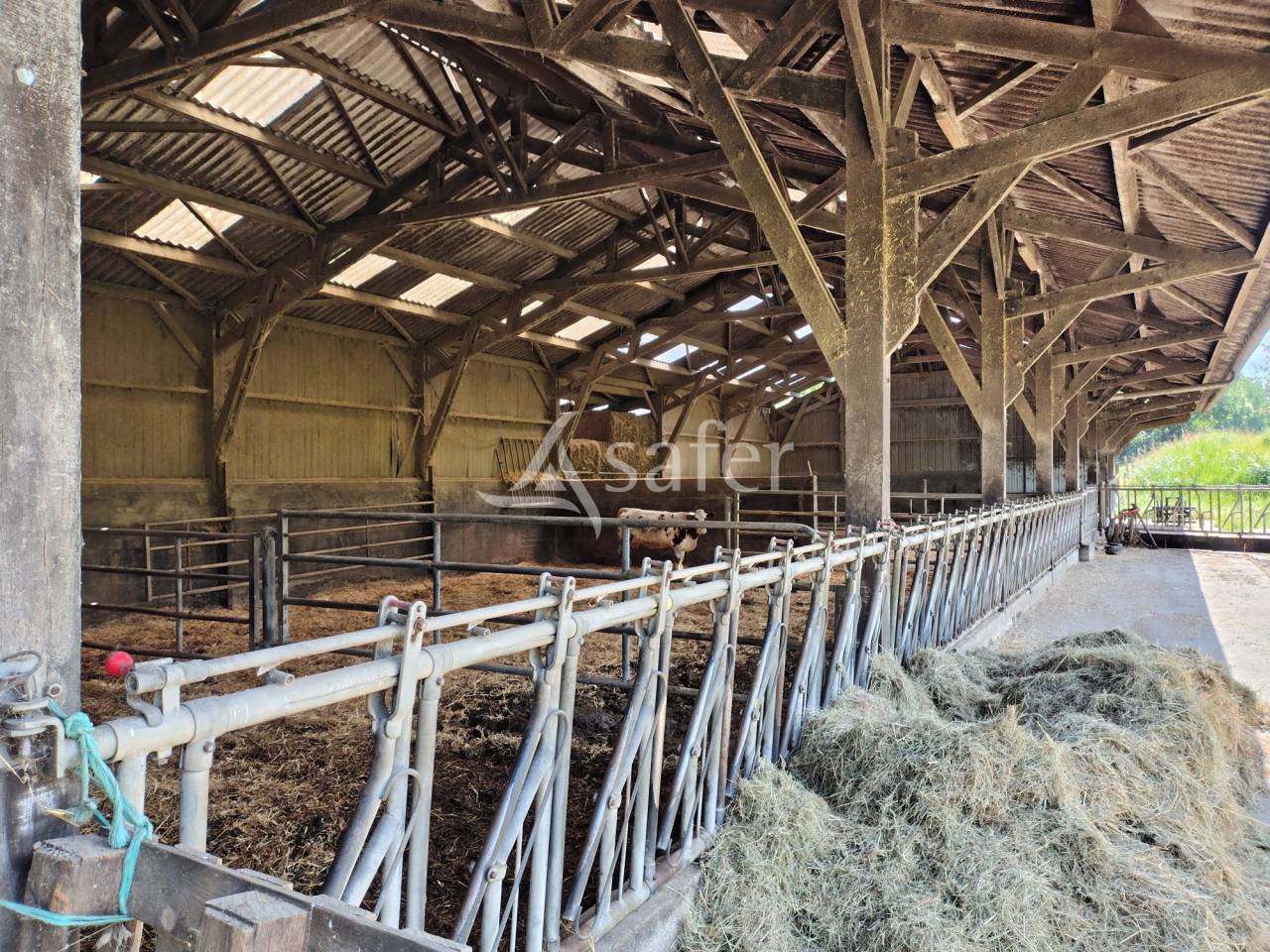 Azienda lattaia In vendita Mayenne