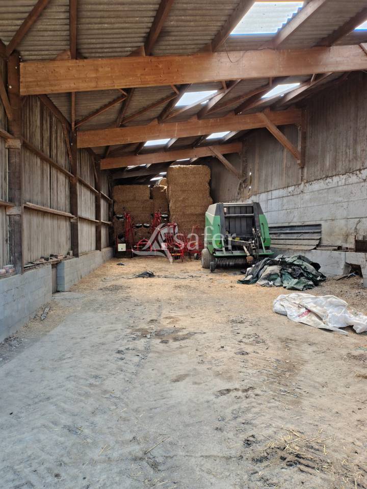 Azienda lattaia In vendita Mayenne