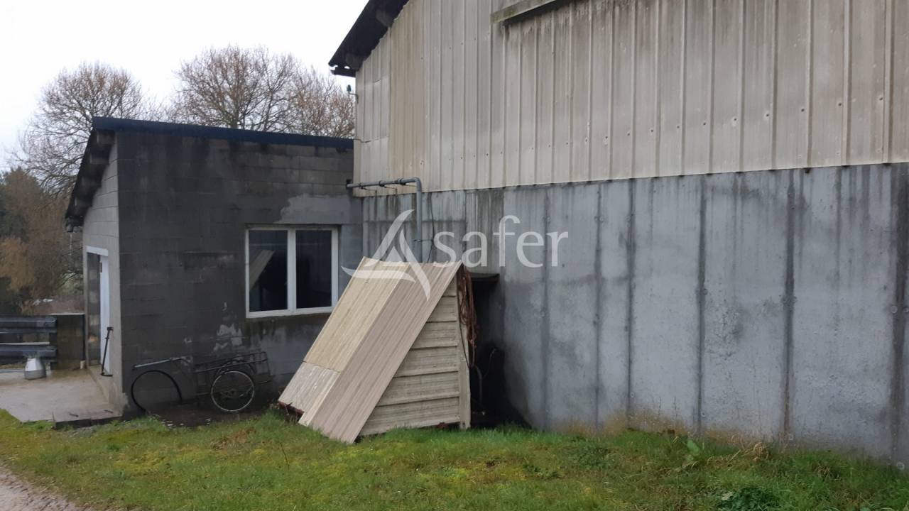 Azienda lattaia In vendita Mayenne