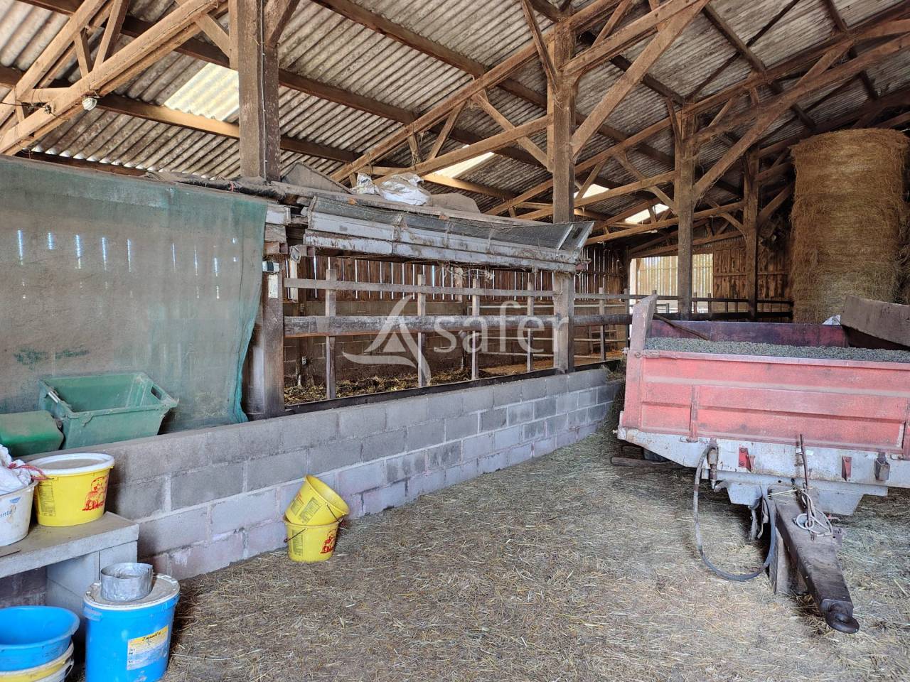 Azienda lattaia In vendita Mayenne