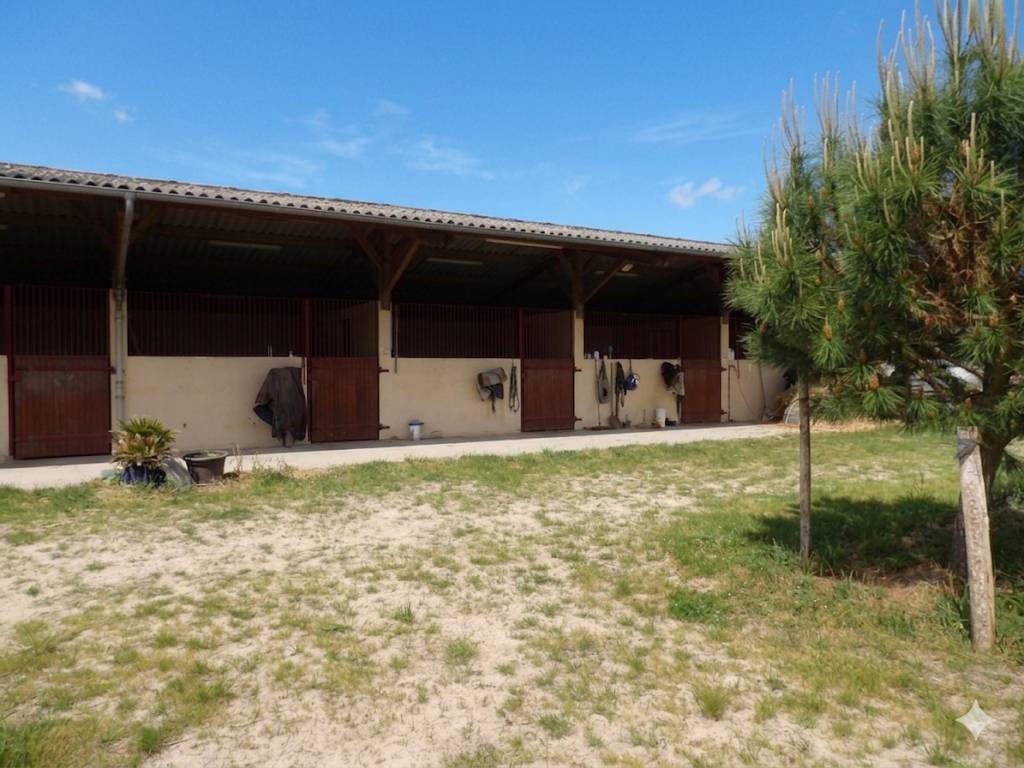 Scuderia per proprietari In vendita Landes