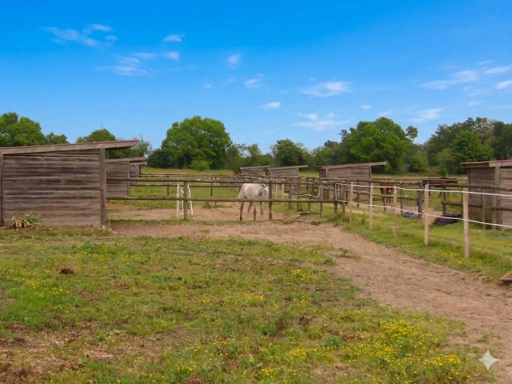 Scuderia per proprietari In vendita Landes