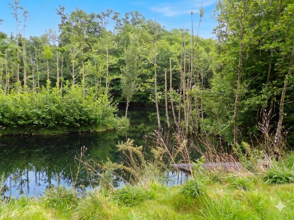 Scuderia per proprietari In vendita Landes
