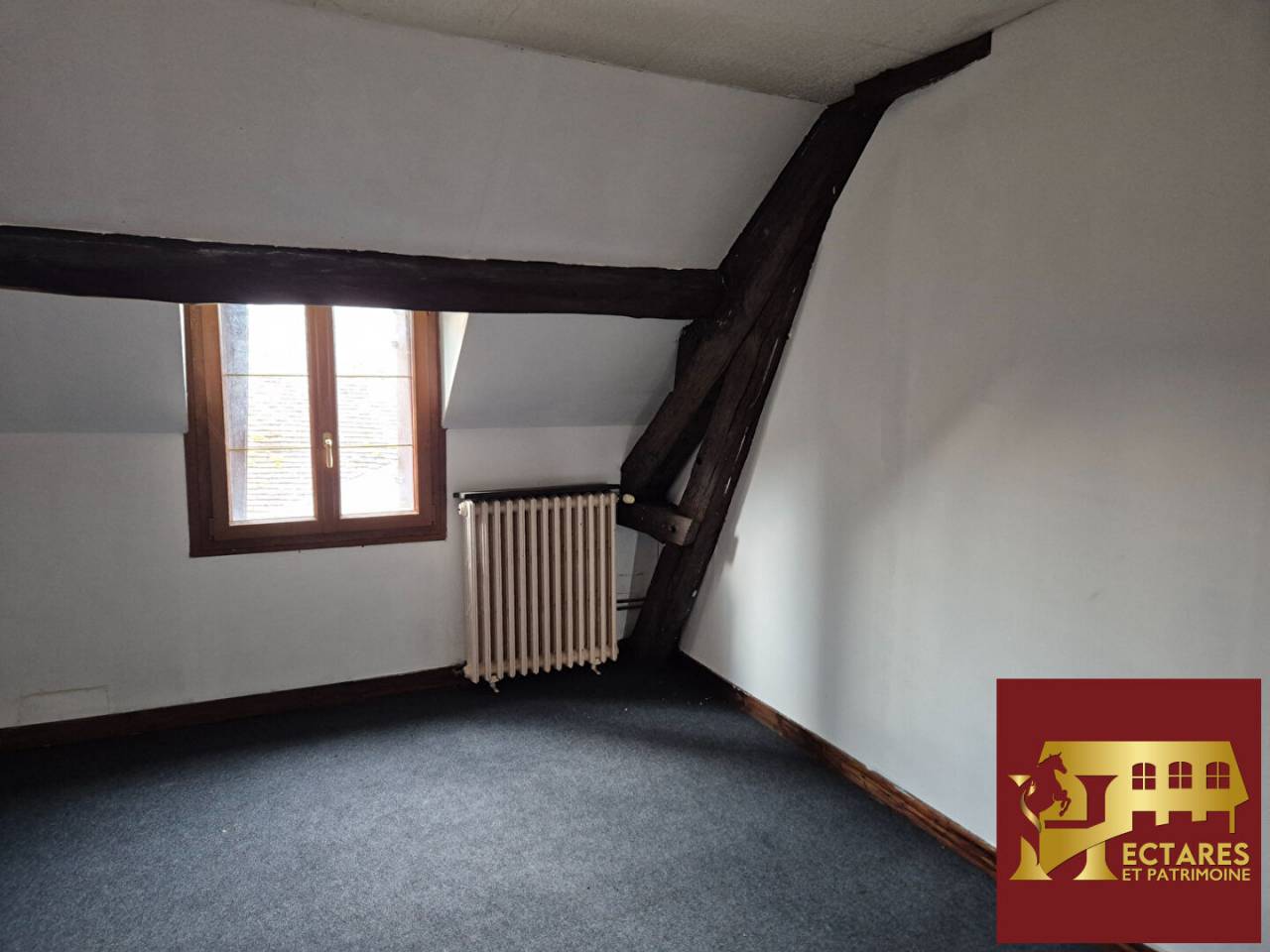 Propriet&agrave; equestre In vendita Yonne